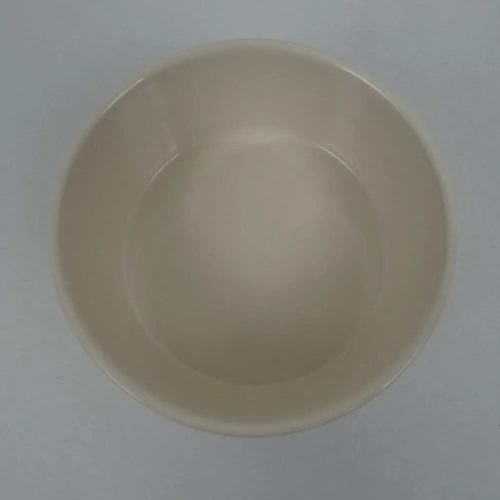 Rae Dunn EAT UP 6” Dog Cat Pet Food Water Bowl Artisan Collection by Magenta